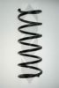 SPIDAN 85571 Coil Spring